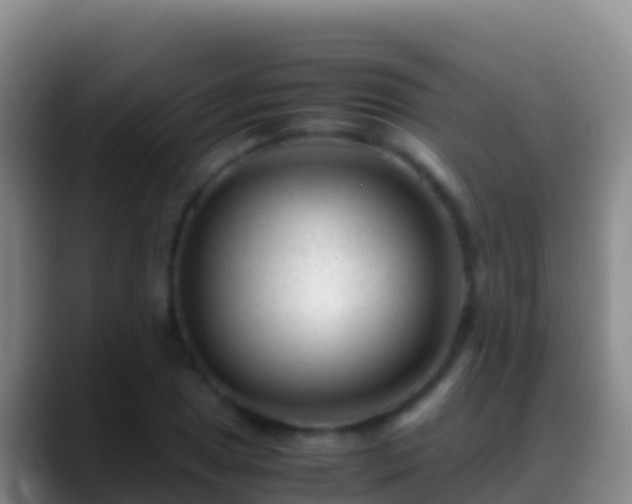 X0000088911025200706151902