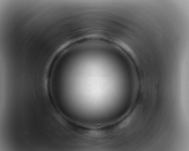 X0000088911029200706151902