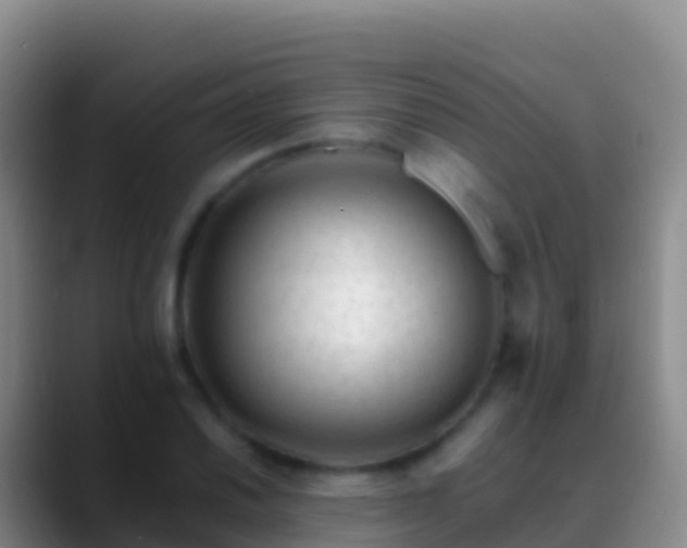 X0000088911030200706151902