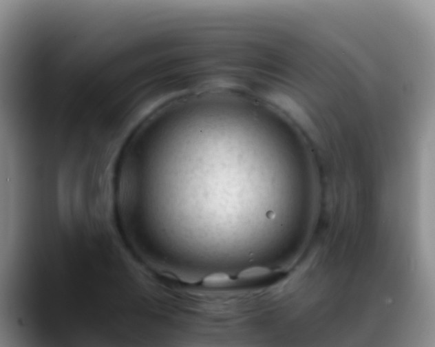 X0000088911031200706151902