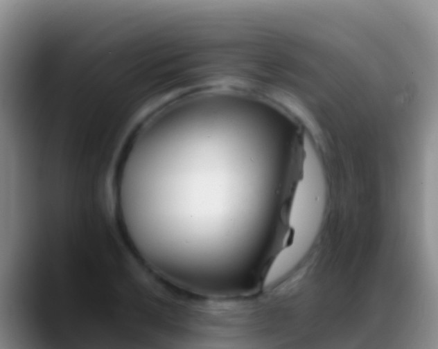 X0000088911032200706151902