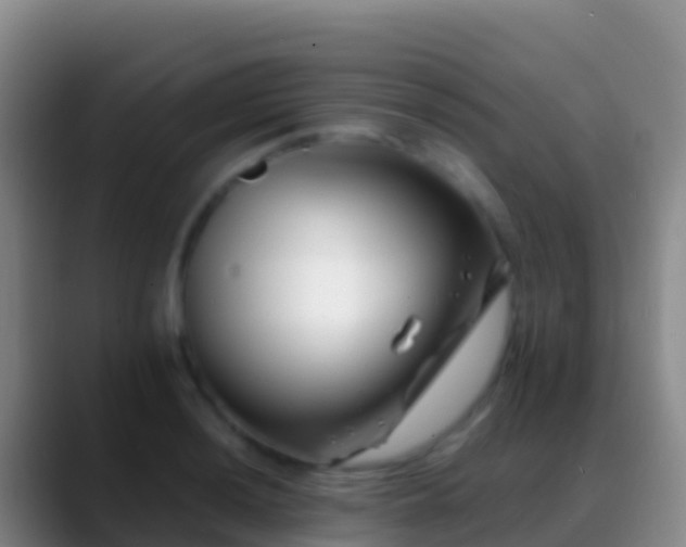 X0000088911036200706151902