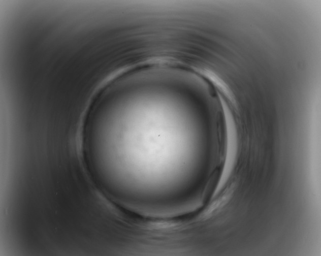 X0000088911037200706151902