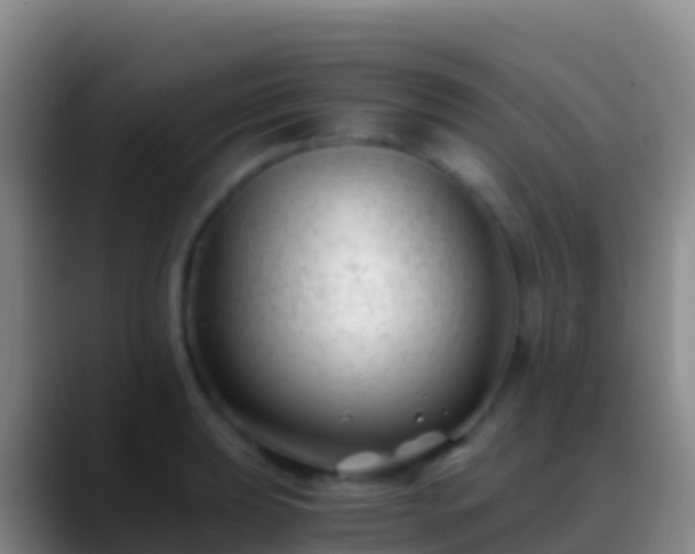 X0000088911039200706151902