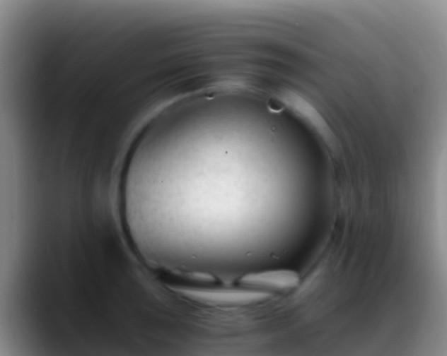X0000088911043200706151902