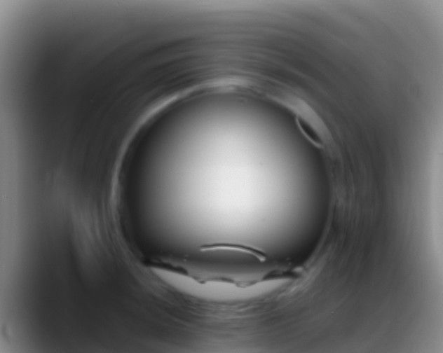 X0000088911044200706151902