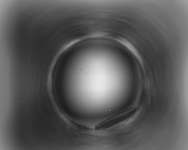 X0000088911053200706151902
