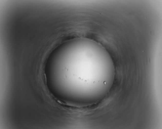 X0000088911057200706151902