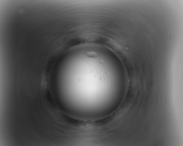 X0000088911058200706151902