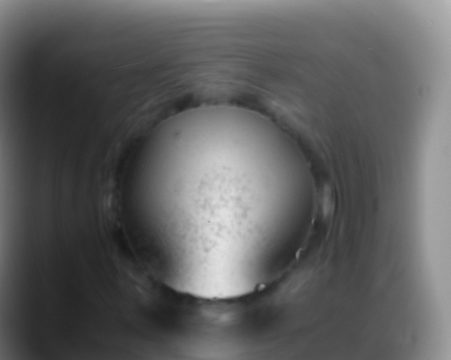 X0000088911059200706151902