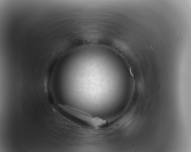 X0000088911060200706151902