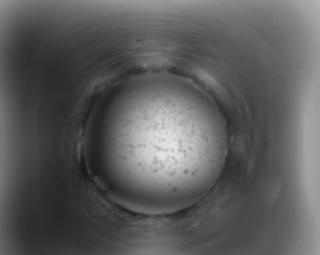 X0000088911063200706151902