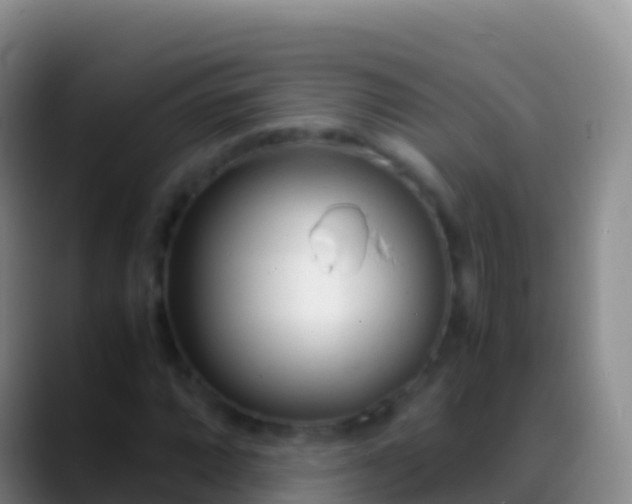 X0000088911064200706151902
