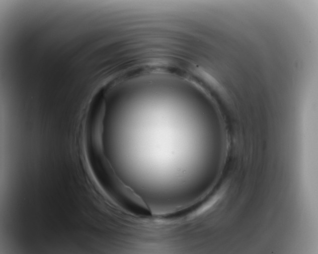 X0000088911065200706151902