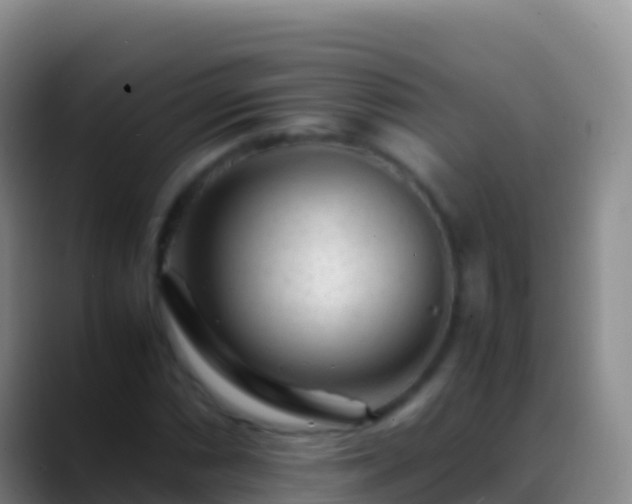X0000088911066200706151902