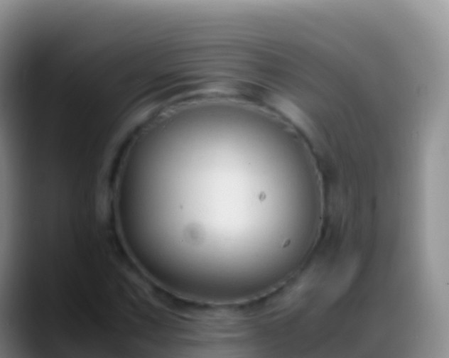 X0000088911067200706151902