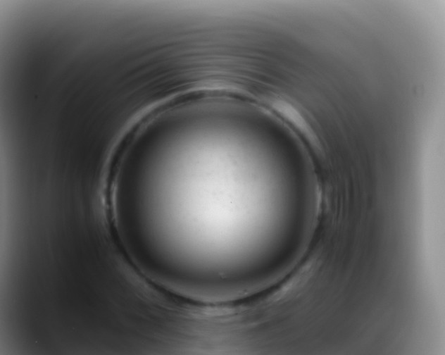 X0000088911068200706151902