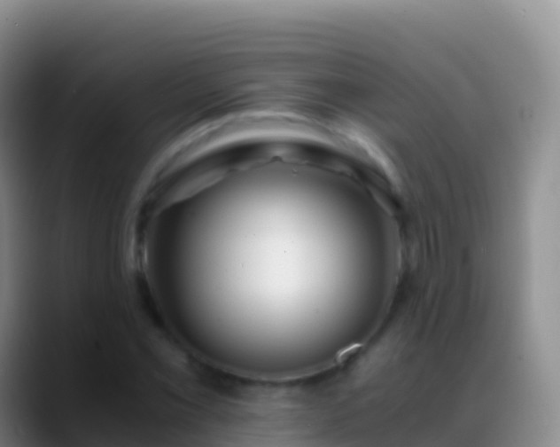 X0000088911069200706151902