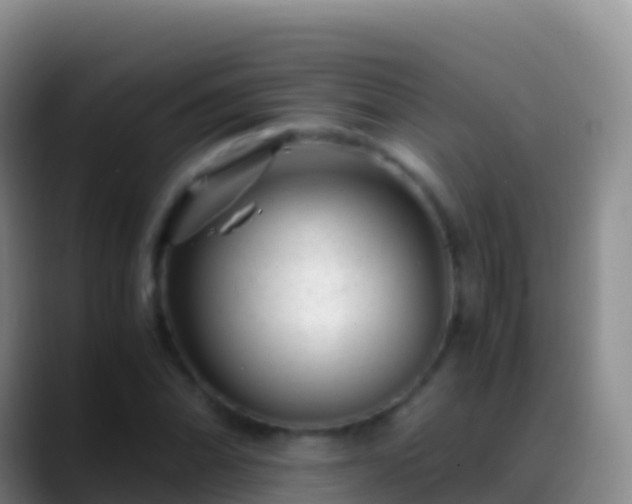 X0000088911070200706151902