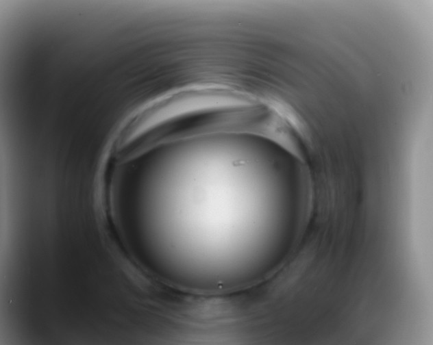 X0000088911072200706151902