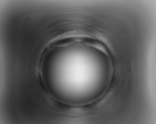 X0000088911073200706151902