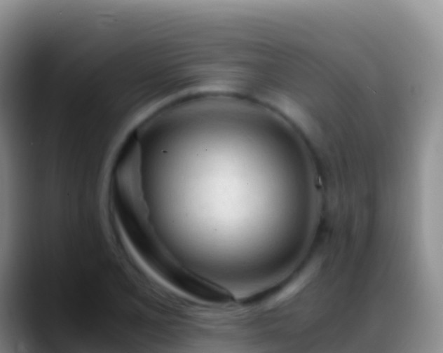X0000088911077200706151901