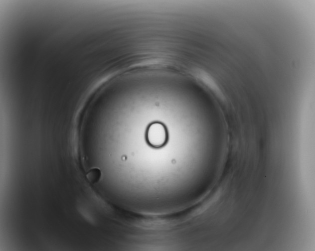 X0000088911079200706151901