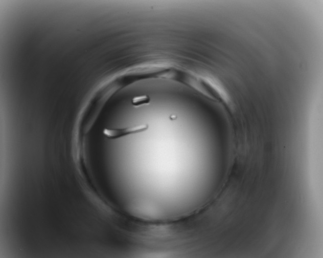 X0000088911080200706151901