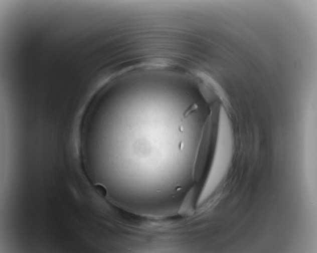 X0000088911083200706151901