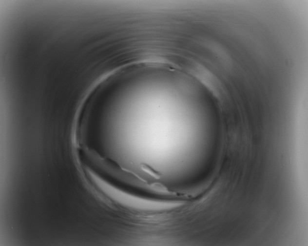 X0000088911084200706151901