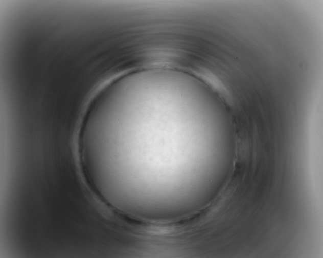 X0000088911086200706151901