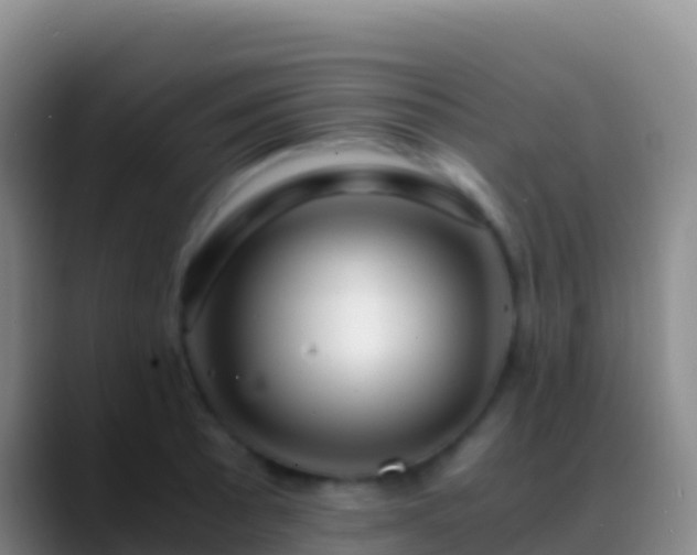 X0000088911089200706151901