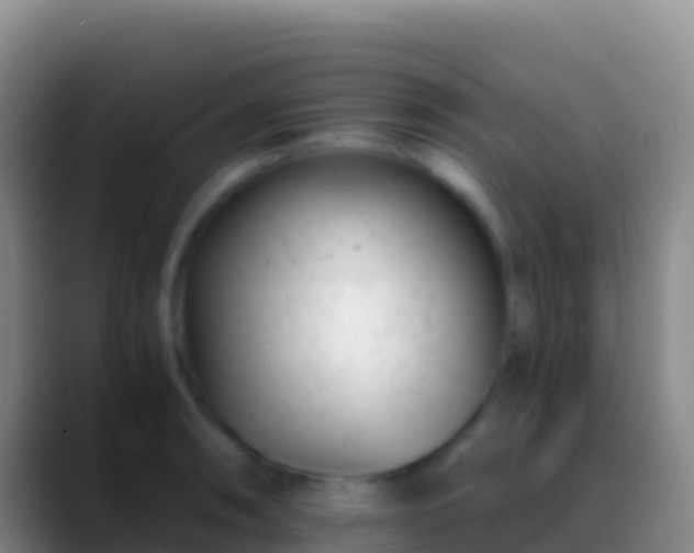 X0000088911090200706151901