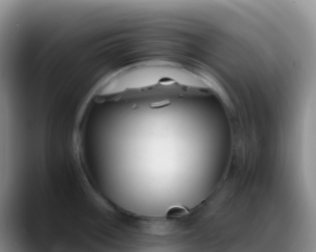 X0000088911092200706151901