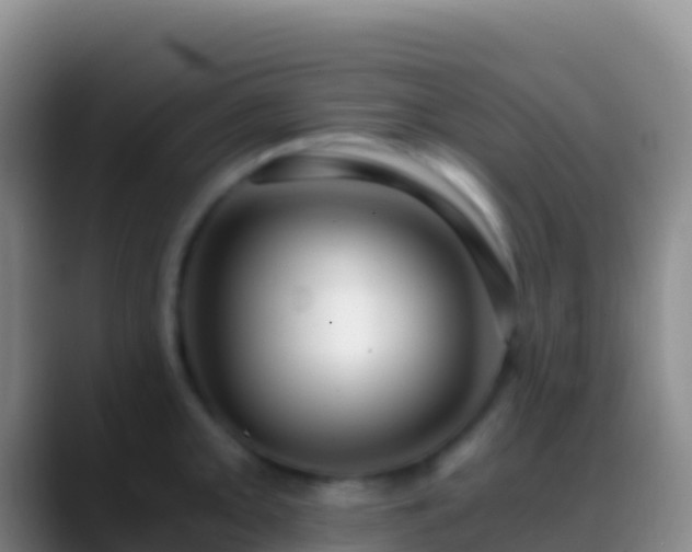 X0000088911093200706151901