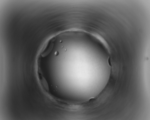 X0000088911096200706151901
