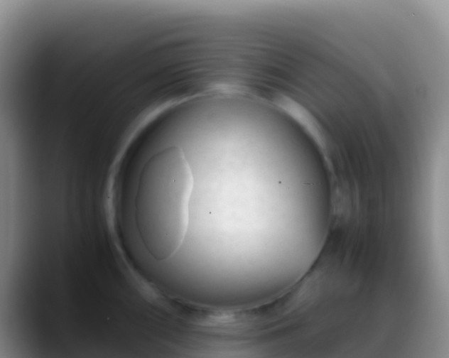 X0000088911098200706151901
