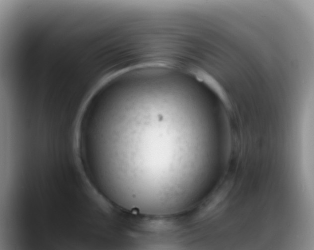 X0000088911099200706151901