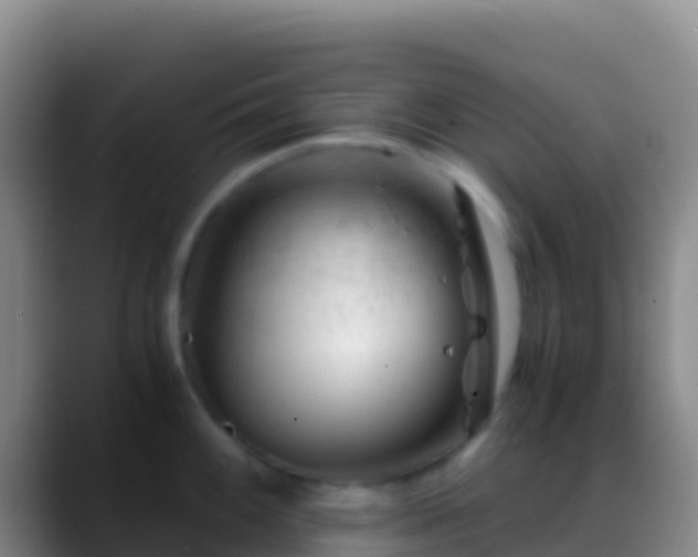X0000088911100200706151901