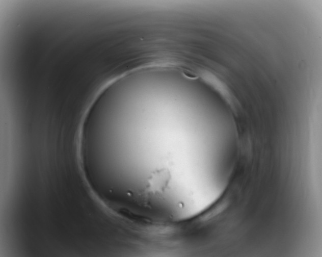 X0000088911103200706151901