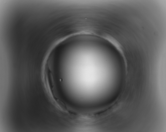 X0000088911104200706151901
