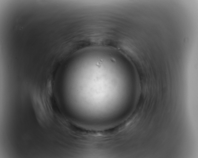 X0000088911106200706151901