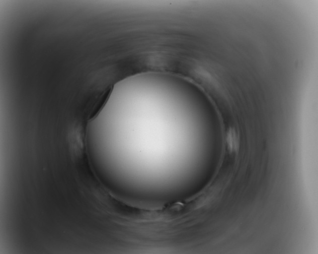 X0000088911107200706151901