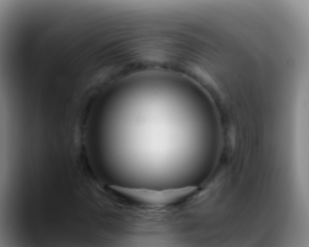 X0000088911110200706151901