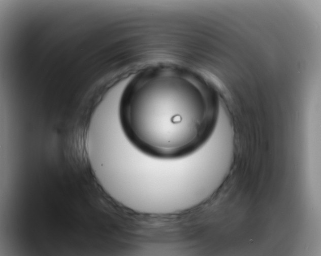 X0000088911112200706151901