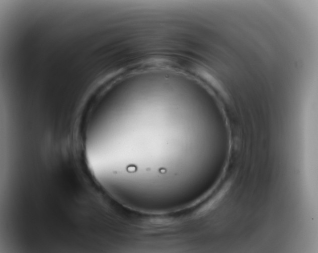 X0000088911117200706151901