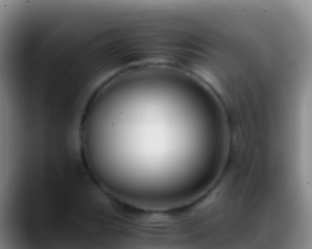 X0000088911119200706151901