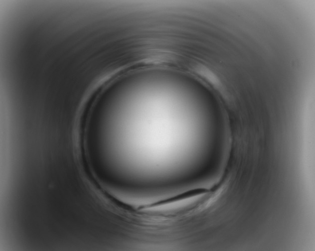 X0000088911122200706151901