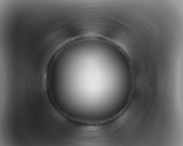 X0000088911126200706151901