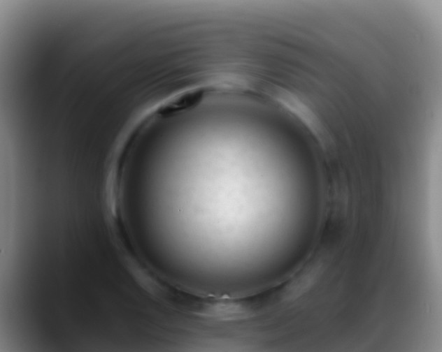 X0000088911128200706151901